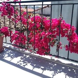  Hotel Casa Magnolia Boutique Turkey